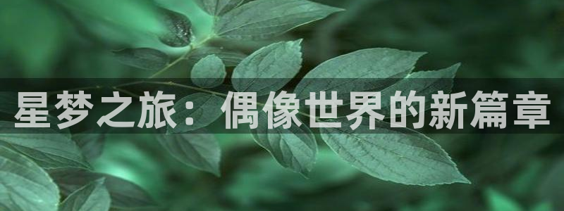 歪歪漫画免费看秋蝉