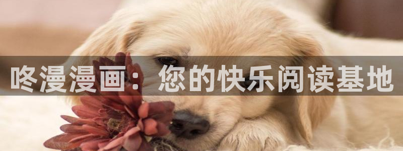 歪歪漫画sss首页：咚漫漫画：您的快乐阅读基地